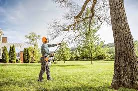 Best Firewood Processing and Delivery  in Baldwin Park, CA